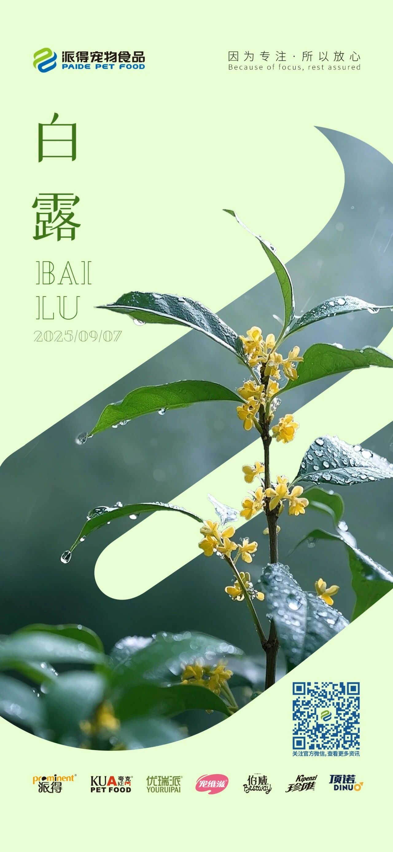 派得寵物