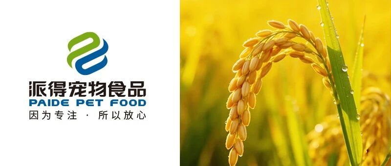 芒種丨風吹麥成浪 青梅煮酒時